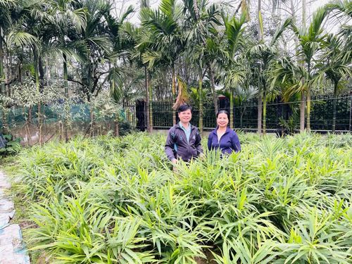 Anh Phan Việt Toàn thăm vườn trồng trọt hoa màu của người dân - Ảnh: Đ.V