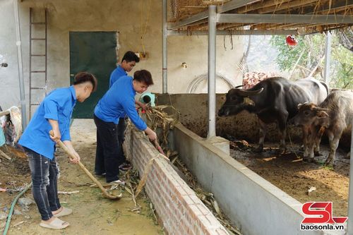 Đoàn viên bản Nà Lo hỗ trợ các gia đình dọn dẹp vệ sinh môi trường.