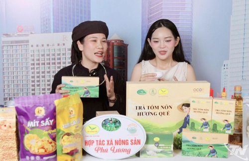HTX Nông sản Phú Lương thu hút nhiều lao động trẻ, góp phần nâng cao hiệu quả sản xuất, kinh doanh.