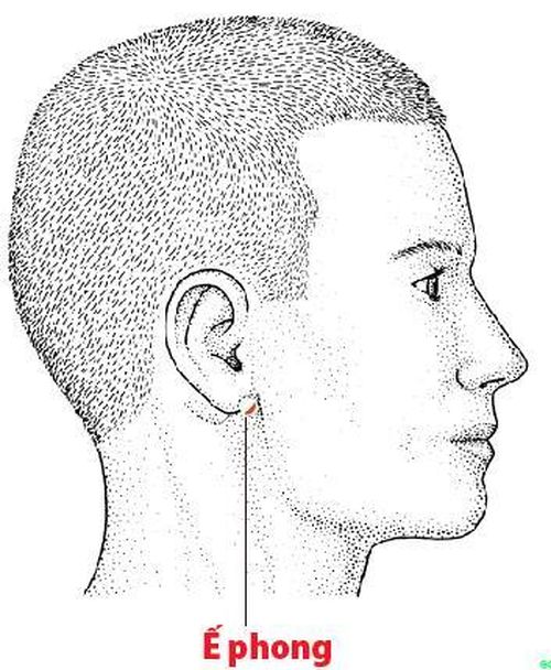 Vị trí huyệt Ế Phong.