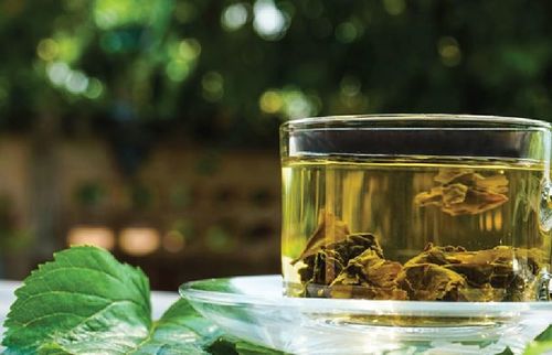 Gối thảo dược từ lá dâu khô