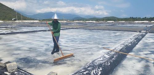 Diêm dân làm muối ở thôn Ngọc Diêm, xã Nam Ninh Hòa (tỉnh Khánh Hòa). Ảnh: X.H.