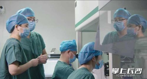 Nhóm chuyên gia phòng thí nghiệm phôi của Bệnh viện Y học Sinh sản Trường Sa và Bệnh viện Sản phụ khoa Trường Sa Ning'er sử dụng công nghệ hỗ trợ sinh sản để thực hiện chuyển phôi