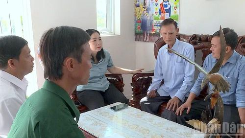 Nữ Bí thư Đảng ủy xã Phong Thạnh (tỉnh Cà Mau) Nguyễn Cẩm Tú đến thăm gia đình có công tham gia trong trận đánh Giồng Bốm.