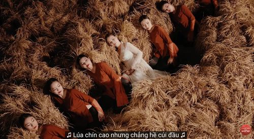 Câu hát "lúa chín cao nhưng chẳng hề cúi đầu" bị nhiều khán giả phản ứng dữ dội. Ảnh chụp màn hình.