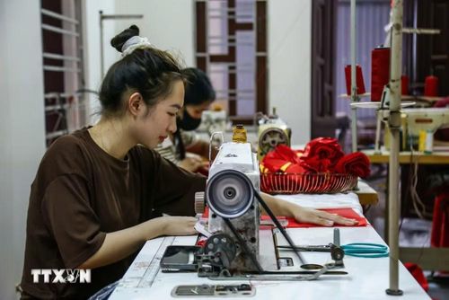 Các xưởng luôn phải hoạt động hết công suất, thậm chí phải tăng giờ làm cho nhân công trong xưởng để kịp tiến độ giao hàng. (Ảnh: Lê Ngọc/TTXVN phát)