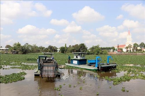 Hệ thống máy phá, máy vớt - cuộn lục bình đang hoạt động trên sông Vàm Cỏ Tây.