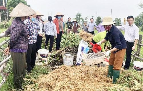 Người dân các xã Kim Anh, Sóc Sơn tham gia thực hiện mô hình xử lý rơm rạ thành phân hữu cơ. Ảnh: Gia Phong