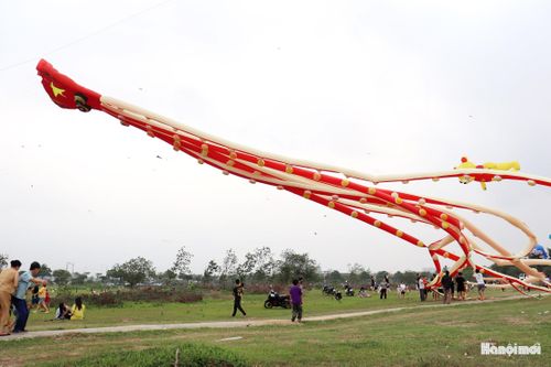 Diều bạch tuộc khổng lồ dài hàng trăm mét. Ảnh: Tuấn Điệp