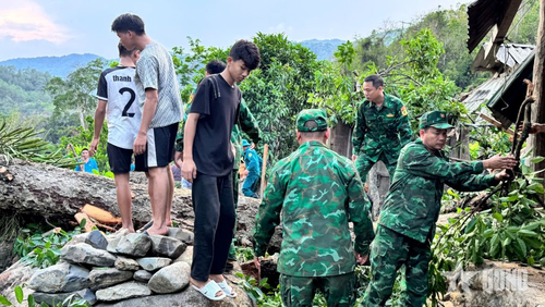 Gia đình ông Lương Xuân Việt, ở bản Pụng bị cây đổ gây thiệt hại.
