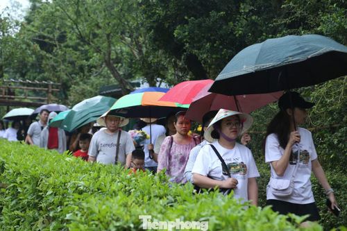 Dù thời tiết có mưa, dòng người vẫn nườm nượp về Khu di tích Kim Liên, thành kính dâng hương tưởng niệm Chủ tịch Hồ Chí Minh.