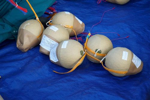 Màn pháo hoa năm nay được xây dựng trên nền 4 bản nhạc, mỗi bản kéo dài từ 3 đến 4,5 phút; trong đó phần kết mang âm hưởng hào hùng, tái hiện không khí lịch sử của ngày 30/4.
