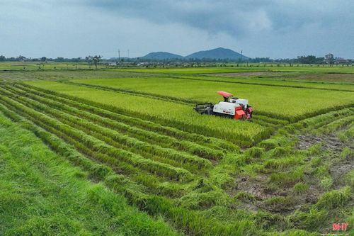 Người dân Hà Tĩnh nỗ lực phát triển KT-XH.