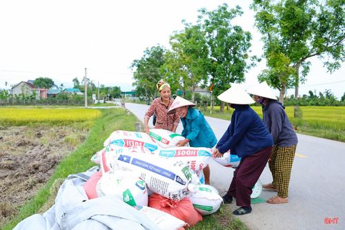  Ông Nguyễn Văn Đoàn (thôn Đại Bản, xã Gia Hanh) chia sẻ: "Vụ xuân năm nay, gia đình tôi sản xuất gần 1 mẫu lúa. Nhờ thời tiết thuận lợi, chăm sóc đúng quy trình nên lúa được mùa, hạt chắc, năng suất đạt khoảng 3,3 tạ/sào, trong đó, dẫn đầu về chất lượng vẫn là giống Nếp 98. Lúa chín rồi nên bà con cũng tạm dừng các hoạt động vui chơi trong dịp nghỉ lễ 30/4 - 1/5 để xuống đồng thu hoạch cho kịp thời vụ". 