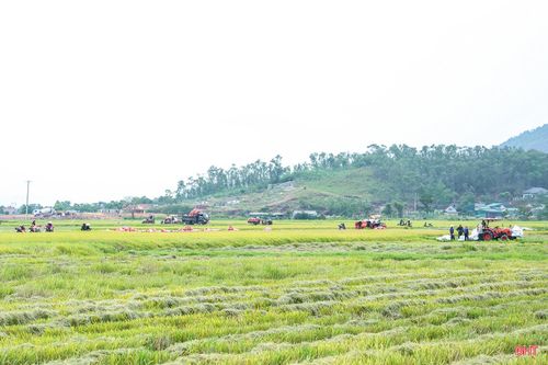 Trong những ngày tới, lúa vụ xuân sẽ bước vào cao điểm thu hoạch. Các địa phương cần tiếp tục đôn đốc người dân huy động tối đa nhân lực, phương tiện để đẩy nhanh tiến độ, phấn đấu hoàn thành thu hoạch trước ngày 10/5; tập trung phơi, sấy, bảo quản, hạn chế thất thoát sau thu hoạch; chuẩn bị các điều kiện sản xuất vụ hè thu theo phương châm thu hoạch đến đâu, làm đất, gieo cấy đến đó.