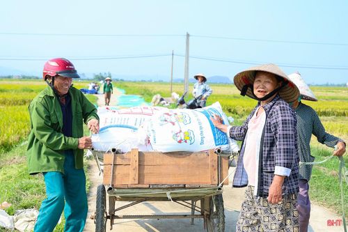  Bà Trần Thị Thuần (thôn Tân Quang, xã Tùng Lộc) cho biết: “Canh tác trên cánh đồng lớn, chúng tôi thấy thuận lợi hơn rất nhiều, máy gặt tập trung từ sáng đến chiều muộn nên chỉ vài ngày tới là gia đình tôi sẽ thu hoạch xong gần 7 sào lúa. Chúng tôi sẽ tiếp tục tập trung ra đồng thu hoạch xuyên lễ 30/4 - 1/5 để kịp đưa lúa về nhà". 