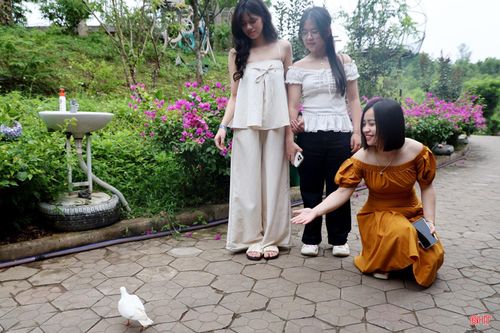  Chị Thái Thị Hạnh (phường Trường Vinh, tỉnh Nghệ An) chia sẻ: "Không gian tại Khu du lịch Đá Bạc Eco vừa gần gũi với thiên nhiên, vừa có nhiều hoạt động trải nghiệm thú vị. Đây thực sự là một điểm đến phù hợp với gia đình tôi". 