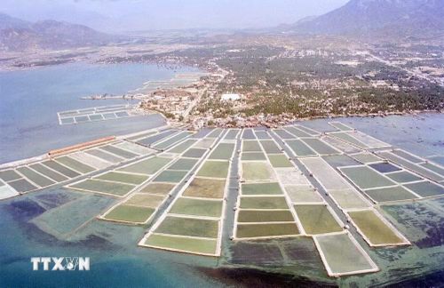 Phát triển nuôi tôm ở Nha Trang, Khánh Hòa (1996). (Ảnh: Cao Phong/TTXVN)