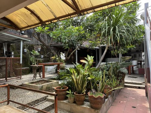 Góc sân vườn nơi ông Lumban Sianipar thường ngồi ngắm tranh và nhớ những ký ức đẹp về Việt Nam. Ảnh: Đỗ Quyên – PV TTXVN tại Indonesia