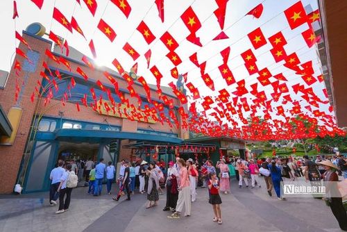Cờ đỏ sao vàng nhuộm kín không gian, biến mỗi góc nhỏ thành điểm check-in rực rỡ.