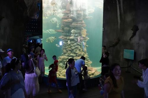 Du khách tham quan Bảo tàng Hải Dương học tại phường Nha Trang, tỉnh Khánh Hòa. Ảnh: HIẾU GIANG