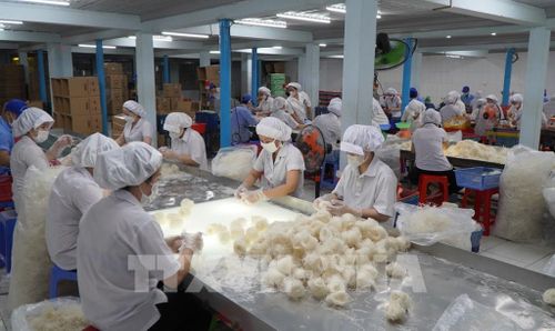 Sa Đéc nổi tiếng với các sản phẩm chế biến từ gạo. Ảnh: Nhựt An - TTXVN