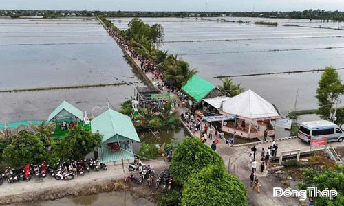 Mô hình “Phiên chợ Đồng Quê” gắn sản xuất nông nghiệp với phát triển du lịch, góp phần tăng thu nhập cho người dân địa phương. Ảnh: HTX Thắng Lợi cung cấp.