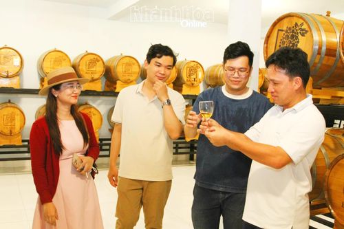 Du khách trải nghiệm thưởng thức rượu nho trong không gian hầm ủ tại Vườn nho Ba Mọi.