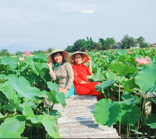Du khách tham quan, chụp ảnh giữa không gian đầm sen Mỹ Nghiệp.