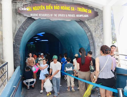 Du khách tham quan Khu trưng bày tài nguyên biển đảo Hoàng Sa - Trường Sa của Bảo tàng Hải Dương học.