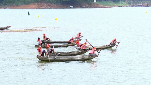 Nội dung đua thuyền đôi nam.
