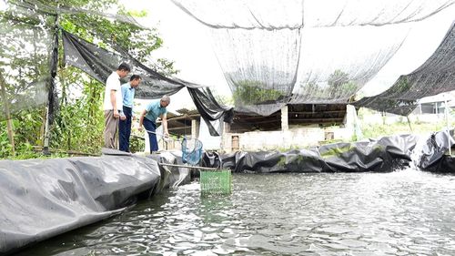 Nhiều mô hình sinh kế được người dân bàn bạc, thống nhất cách làm.