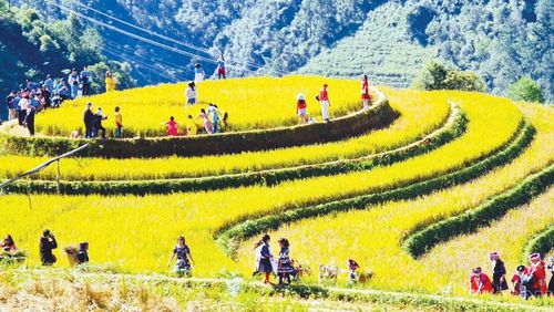 Ruộng bậc thang níu chân du khách tham quan.