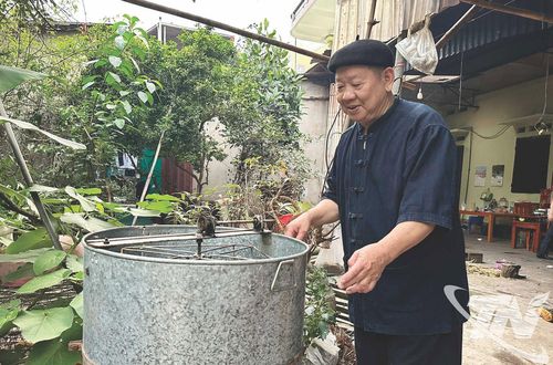 Ông Đức cần mẫn nuôi ong lấy mật.