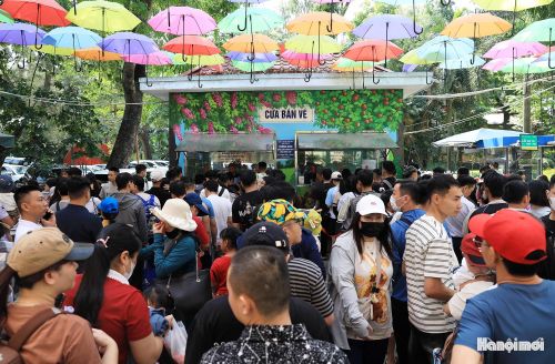 Người dân xếp thành 4 hàng dài chờ mua vé vào tham quan.