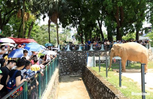 Mỗi năm, vườn thú đón hàng triệu lượt khách trong nước và quốc tế đến tham quan.