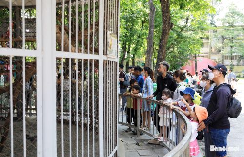 "Mỗi lần đi chơi về con lại biết thêm nhiều điều và có bạn mới", Thùy Linh chia sẻ thêm.
