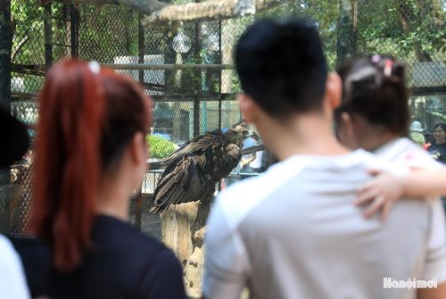 Theo anh Tân, "việc được giao lưu với các bạn cùng trang lứa và khám phá thế giới động vật sẽ giúp trẻ phát triển toàn diện hơn".