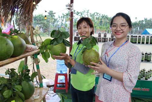 Nông sản địa phương được trưng bày phong phú