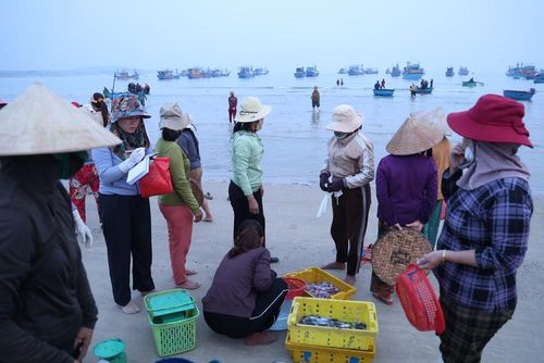 Hoạt động mua bán diễn ra ngay sát mép sóng, tạo nên nét đặc trưng của chợ cá làng chài