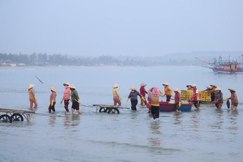 Phần lớn công việc vận chuyển và bốc xếp hải sản tại bãi biển do phụ nữ địa phương đảm nhận