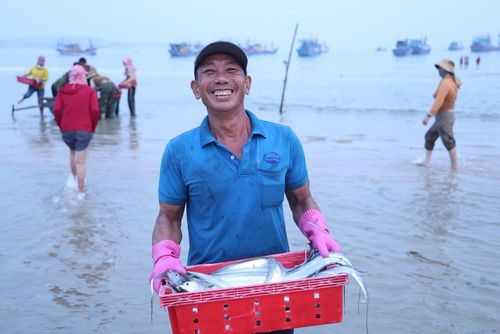 Hải sản tươi rói được đưa vào bãi trong tiếng gọi nhau rộn ràng của ngư dân