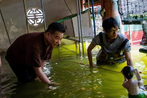 Nghệ nhân Nguyễn Thế Nghị (bên trái), Trưởng phường múa rối nước Đào Thục đang trực tiếp hướng dẫn lớp nghệ nhân trẻ thao tác điều khiển quân rối trong thủy đình. Ông cho biết, nếu trước đây phường rối phải đi vận động thanh niên theo học nghề, thì nay, nhiều bạn trẻ chủ động tìm đến, với kì vọng tiếp nối cho di sản gần 300 năm tuổi của làng