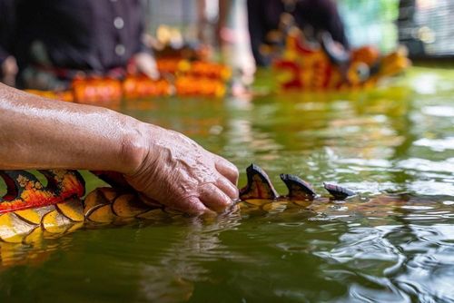 Đôi tay trần liên tục di chuyển sào theo nhiều chuyển động, điều hướng quân rối trong môi trường ẩm ướt. Đây là yêu cầu bắt buộc để những người nghệ nhân có thể cảm nhận lực tay chính xác và giữ chuyển động tự nhiên cho từng tích trò