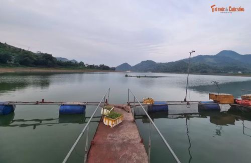 Các tàu thuyền nổi nuôi thủy hải sản của bà con trên lòng hồ Thác Bà.