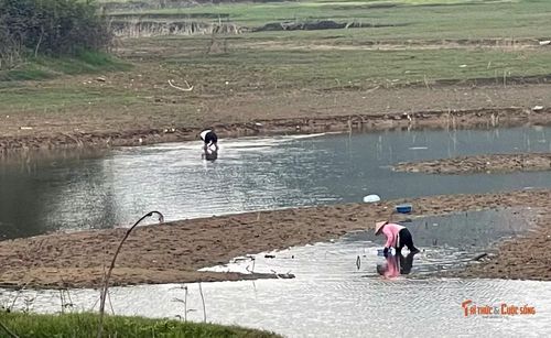 Người dân địa phương bắt cua, ốc, cá mưu sinh trên lòng hồ Thác Bà.