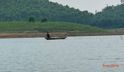Trên lòng hồ Thác Bà, những thuyền đánh bắt cá, tôm mưu sinh của người dân địa phương đã trở lại bình thường.