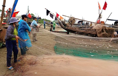 Ngư dân xã Hải Châu đưa bè mảng cập bờ sau chuyến biển đêm.