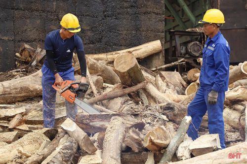Các doanh nghiệp duy trì nhịp sản xuất kinh doanh, đảm bảo không gián đoạn chuỗi sản xuất và cung ứng.