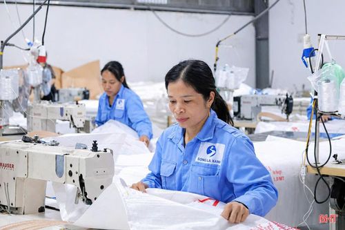 Công ty CP Bao bì Sông La Xanh bố trí nhân lực một cách linh hoạt để đảm bảo tiến độ các đơn hàng.
